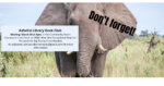 An elephant stands on a savannah with his ears open. The text box reads: Don't Forget! Ashville Library Book Club Meeting: March 30 at 4pm, in the Community Room Discussion: Last Chain on Billie: How One Exceptional Elephant Escaped the Big Top by Carol Bradley All welcome! contact diannehovey@gmail.com for more information