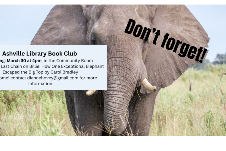 Ashville Library Book Club