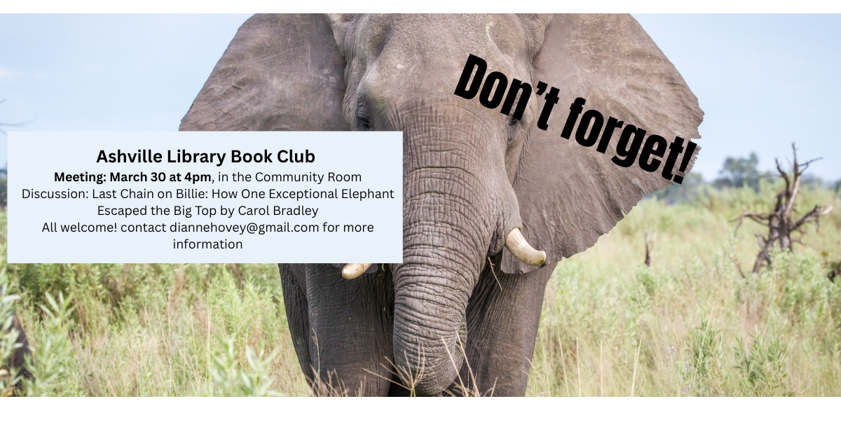 Ashville Library Book Club